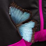 IMG 2173-18 : 2015, Butterflies, Butterfly Exhibit, Colorado, Denver