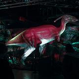 26-IMG 1592 : 2014, Atlanta, Extreme Dinosaurs, Georgia