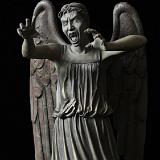IMG 0497 : BuzzyMag, Doctor Who, Review, Weeping Angel