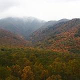 IMG 2762