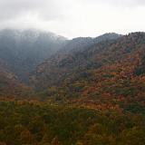 IMG 2767