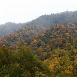 IMG 2768