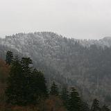 IMG 2772