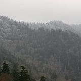 IMG 2773