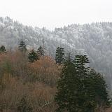 IMG 2775