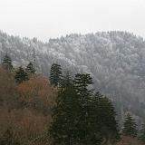 IMG 2776