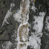 IMG 2778