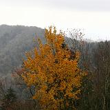 IMG 2780