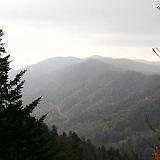 IMG 2781