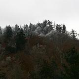 IMG 2784