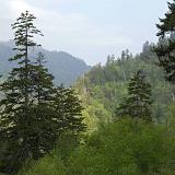 Spring 2006