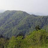 IMG 2286