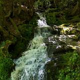 IMG 4587 - Version 2