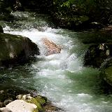 IMG 4595 - Version 2