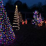 IMG 2339-3 : Christmas, Knoxville, Outdoor Decorations