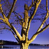 54512114.20060107IMG 1977