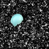 IMG 3594-0001 : Knoxville, Broken robin's egg, work