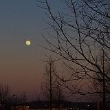 Moon Rise Feb 2014 : 2014, Knoxville, Moonrise, Tennessee