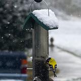 IMG 0412-5