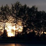 sunset trees : Knoxville, Sunset, Tennessee