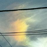 Sun Dogs 2024