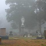 Fog 2002