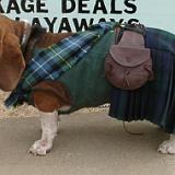 dog kilt 4