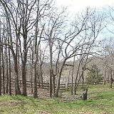 cg woods 1