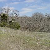 cg woods 6