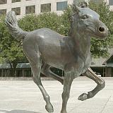rem mustangs 03
