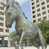 rem mustangs 04