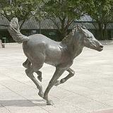 rem mustangs 08