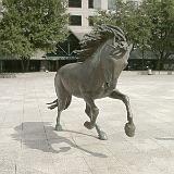 rem mustangs 09
