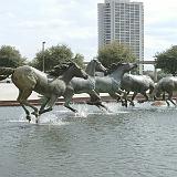 rem mustangs 10