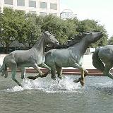 rem mustangs 11
