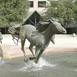 rem mustangs 12