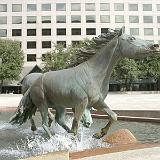 rem mustangs 13
