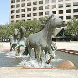 rem mustangs 14