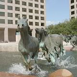 rem mustangs 18