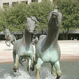 rem mustangs 19