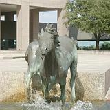 rem mustangs 20