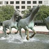 rem mustangs 22