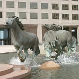 rem mustangs 25