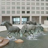 rem mustangs 27