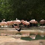 img 0486