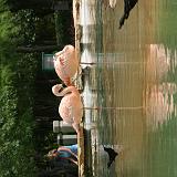 img 0487