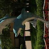 img 0512